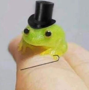 Meet your Posher, Hope